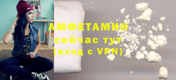 МДПВ Бородино