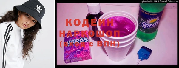 МДПВ Бородино