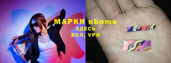 МДПВ Бородино