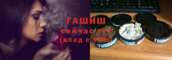 МДПВ Бородино
