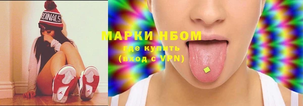 МДПВ Бородино