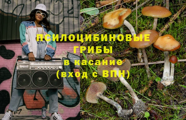 каннабис Белокуриха