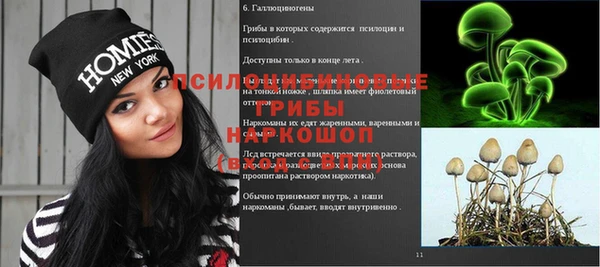 МДПВ Бородино