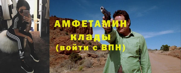 МДПВ Бородино