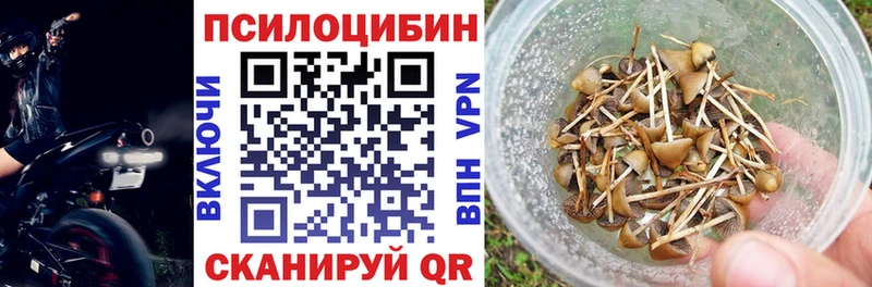 Псилоцибиновые грибы Psilocybine cubensis Березники